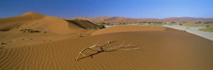 Panoramic Views Of Africa Prints: Panoramic view over dunes