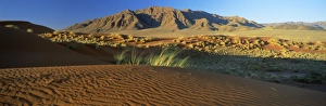 Namibia Travel Destinations Prints: Panoramic view over dunes and mountains