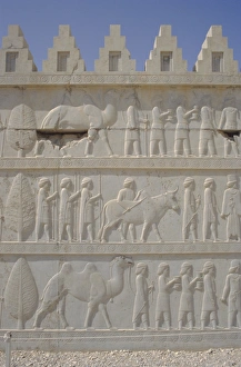 Persepolis Archaeological Site Prints: Parade of nations carving