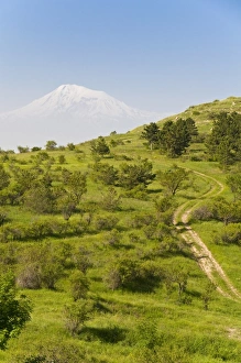 Prints of Path leading to Mount Ararat, Armenia, Caucasus, Central Asia, Asia Armenia Prints: Mount Ararat Path Print, Armenia Caucasus Asia