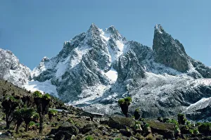 Mt. Kenya Print - Teleki Valley Landscape