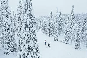 Finland Collection: Two people cross country skiing in the snowy forest, aerial view, Lapland, Finland, Europe