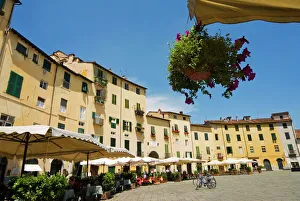 Piazza Anfiteatro, Lucca, Tuscany, Italy, Europe Piazza Anfiteatro, Lucca, Tuscany, Italy, Europe