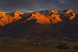 Images Dated 3rd March 2008: Mount Pisa Print, Central Otago Landscape