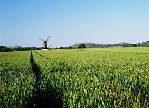 Pitstone Windmill Print, Chilterns Landscape
