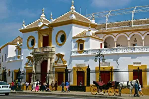 Plaza de Toros, Seville, Andalusia, Spain, Europe Plaza de Toros, Seville, Andalusia, Spain, Europe