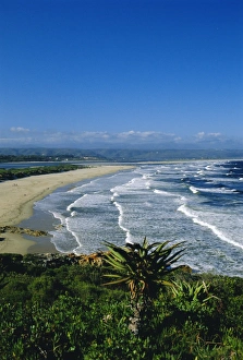 Blue Sky Photography Africa Prints: Plettenberg Bay