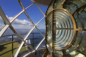 Point Vincente Lighthouse Lens Print