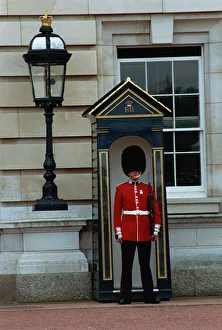 Portrait of a guard in a bearskin busby standing in front of a sentry box outside Buckingham Palace Portrait of a guard in a bearskin busby standing in front of a sentry box outside Buckingham Palace