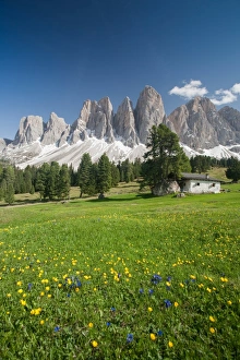 A postcard from the Dolomites, Puez-Odle National Park, South Tyrol, Italy, Europe A postcard from the Dolomites, Puez-Odle National Park, South Tyrol, Italy, Europe