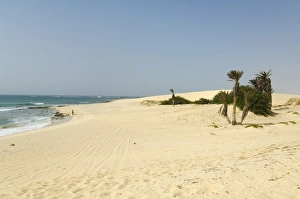 Praia de Chaves (Chaves Beach), Boa Vista, Cape Verde Islands, Africa Praia de Chaves (Chaves Beach), Boa Vista, Cape Verde Islands, Africa