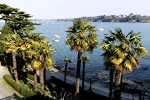 Promenade du Clair de Lune (Moonshine Walk) seen from above, Dinard, Brittany Promenade du Clair de Lune (Moonshine Walk) seen from above, Dinard, Brittany