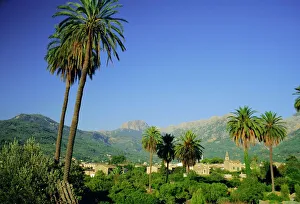 Puerto Pollensa Print, Mallorca Landscape