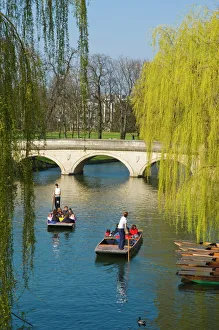 Prints of Punts, Cambridge, Cambridgeshire, England, United Kingdom, Europe River Prints: Cambridge Punt Print