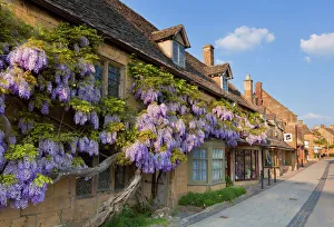 Purple flowering wisteria on a Cotswold stone house wall in the village of Broadway Purple flowering wisteria on a Cotswold stone house wall in the village of Broadway