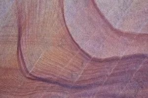Images Dated 28th November 2014: Purple stains in sandstone, Coyote Buttes Wilderness, Vermilion Cliffs National Monument