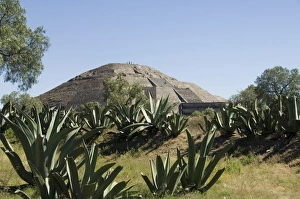 Teotihuacan Pyramid Prints: Pyramid of the Moon