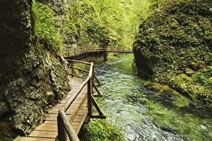 Prints of Radovna River, Vintgar Gorge, Gorje, Bled, Slovenia, Europe Slovenia Prints: Radovna River Print: Vintgar Gorge, Slovenia