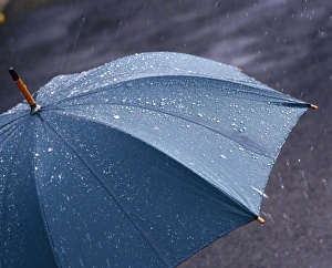 Rainy Weather Photography Prints: Rain falling on an umbrella