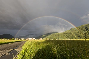 Lombardy European Landscapes Prints: Rainbow over green fields of countryside, Cosio Valtellino, Sondrio province, Valtellina