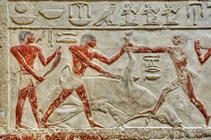 Images Dated 9th April 2020: Saqqara Relief Print, Step Pyramid Complex