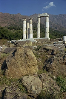 Doric Order Architecture Prints: Remaining Doric columns