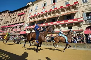 Horses Collection: Riders racing at El Palio horse race festival, Piazza del Campo, Siena