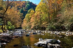 Autumn Collection: River and colourful foliage in the Indian summer, Great Smoky Mountains National Park
