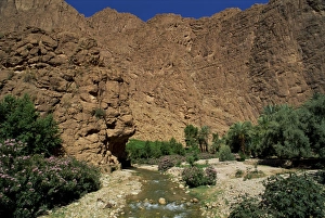 Contemporary Landscape Photography Prints: River below rock cliffs