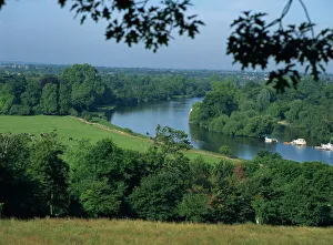 River Thames at Richmond, Surrey, England, United Kingdom, Europe River Thames at Richmond, Surrey, England, United Kingdom, Europe