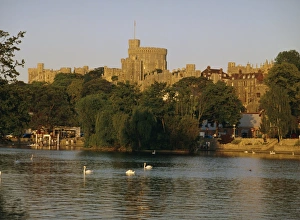 The River Thames Print featuring Windsor Castle