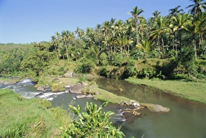 Bali Nature Photography Prints: River valley