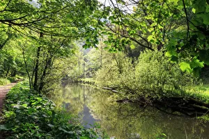 River Wye lined by trees in spring leaf with riverside track, reflections in calm water River Wye lined by trees in spring leaf with riverside track, reflections in calm water