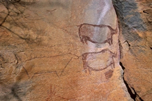 Rock art, rhinos, Tsodilo Hills, UNESCO World Heritage Site, Ngamiland, Botswana, Africa Rock art, rhinos, Tsodilo Hills, UNESCO World Heritage Site, Ngamiland, Botswana, Africa