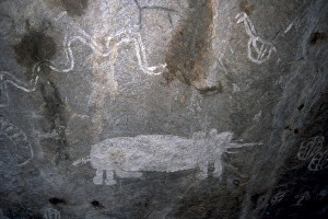 Rock art, white paintings, elephant and rain snake, Tsodilo Hills, UNESCO World Heritage Site Rock art, white paintings, elephant and rain snake, Tsodilo Hills, UNESCO World Heritage Site