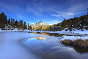 Rocky peaks and larches reflected in the frozen Lake Mufule, Malenco Valley, Province of Sondrio Rocky peaks and larches reflected in the frozen Lake Mufule, Malenco Valley, Province of Sondrio