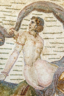 Roman mosaic, Carthage National Museum, Byrsa Hill, Carthage, UNESCO World Heritage Site Roman mosaic, Carthage National Museum, Byrsa Hill, Carthage, UNESCO World Heritage Site