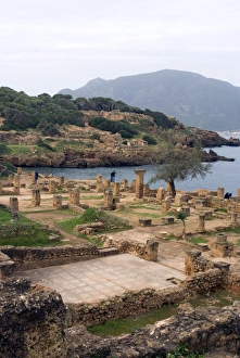 Roman site of Tipasa, UNESCO World Heritage Site, Algeria, North Africa, Africa Roman site of Tipasa, UNESCO World Heritage Site, Algeria, North Africa, Africa