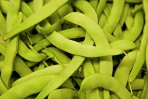 Prints of Runner beans for sale, Mercado Central, central market, Valencia, Costa del Azahar, Spain, Europe Valencia Prints: Runner Beans Print, Valencia Market Scene