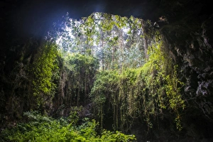 Rwanda Travel Photography Prints: Rwanda