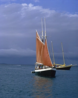 Windward Islands Tourism Prints: Sailing boat