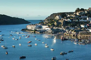 Devon Prints: Salcombe Village Print