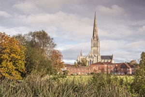 Salisbury Cathedral from the West Harnham Water Meadows, Salisbury, Wiltshire, England Salisbury Cathedral from the West Harnham Water Meadows, Salisbury, Wiltshire, England