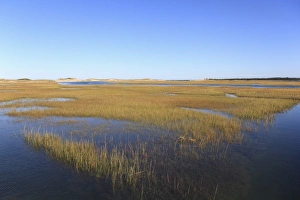 American Nature Scene Prints: Salt Marsh, Sandwich, Cape Cod