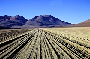 Salvador Dali Desert Dali Valley (Valle de Dali), Southwest Highlands, Bolivia, South America Salvador Dali Desert Dali Valley (Valle de Dali), Southwest Highlands, Bolivia, South America