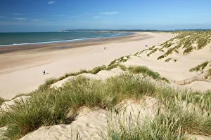 Prints of Sand dunes and beach, Camber Sands, Camber, near Rye, East Sussex, England, United Kingdom, Europe East Sussex Prints: Camber Sands Print - Sand dunes and beach landscape