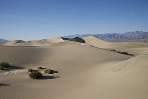 US Natural Wonders Prints: Sand Dunes Point