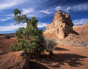 Sandstone cliffs Print, Arches National Park, Utah