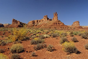 USA Outdoor Photography Prints: Sandstone monoliths