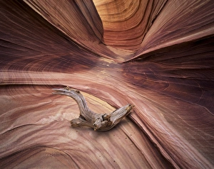 Desert Canyon Photography Prints: Sandstone wave
